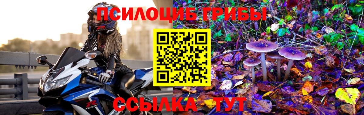 Мегион  Псилоцибиновые грибы GOLDEN TEACHER  Вход с VPN  Псилоцибиновые грибы ЛСД 